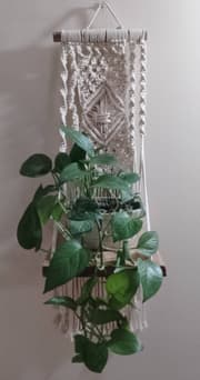 Macrame planter hanging
