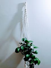 Macrame plante hanger(ম্যাক্রাম  প্লান্ট হ্যাংগার)