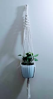 Macrame plante hanger(ম্যাক্রাম  প্লান্ট হ্যাংগার)