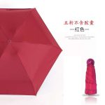 Chinese Capsule Umbrella