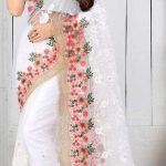 ব্লাউজ পিস সহ ইন্ডিয়ান জর্জেট শাড়ি